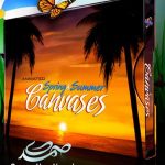 Animated Spring & Summer Canvases