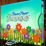 Flower Power Canvases