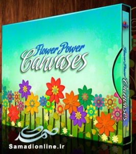 Flower Power Canvases