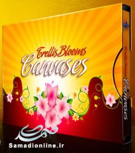 Trellis Bloom Canvases
