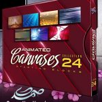 Animated Canvases Collection 24