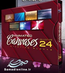 Animated Canvases Collection 24