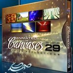 Animated Canvases Collection 29
